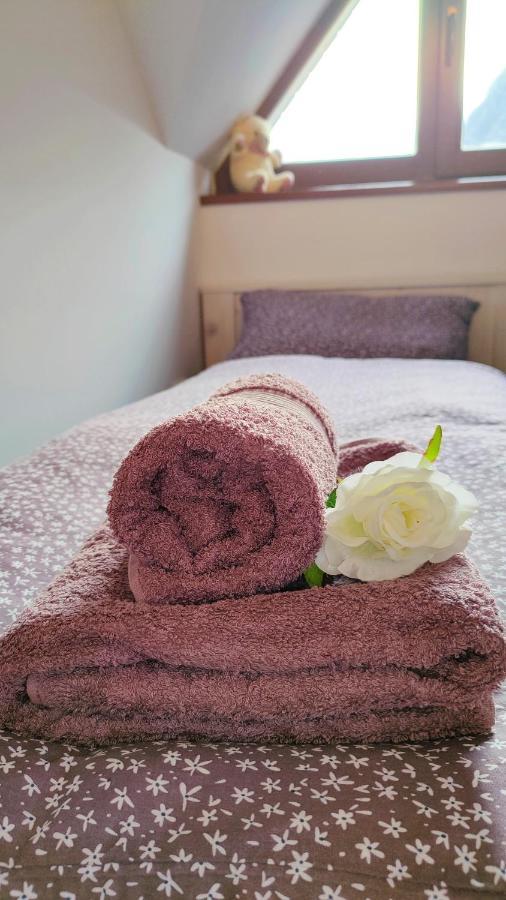 Apartmaji Dora Mojstrana Kültér fotó